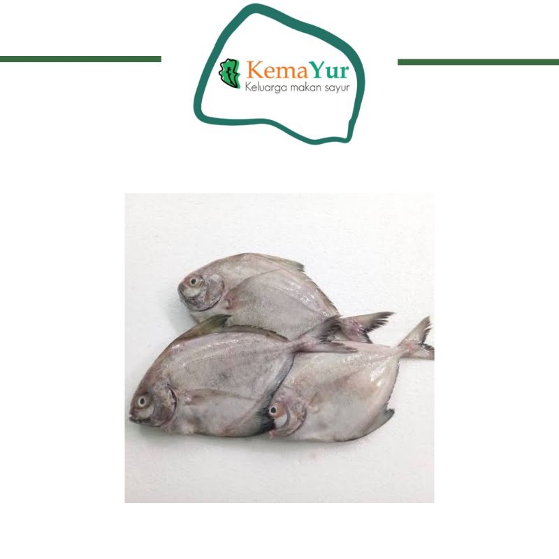 

IKAN DORANG SEGAR 500GR