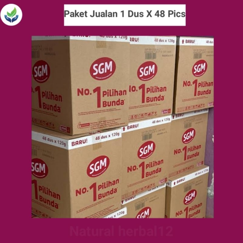 SGM Ananda 0-6 Bulan 120gr – 1 Karton Isi 48pcs | Susu Formula Bayi | EXP Juli 2027 | Original
