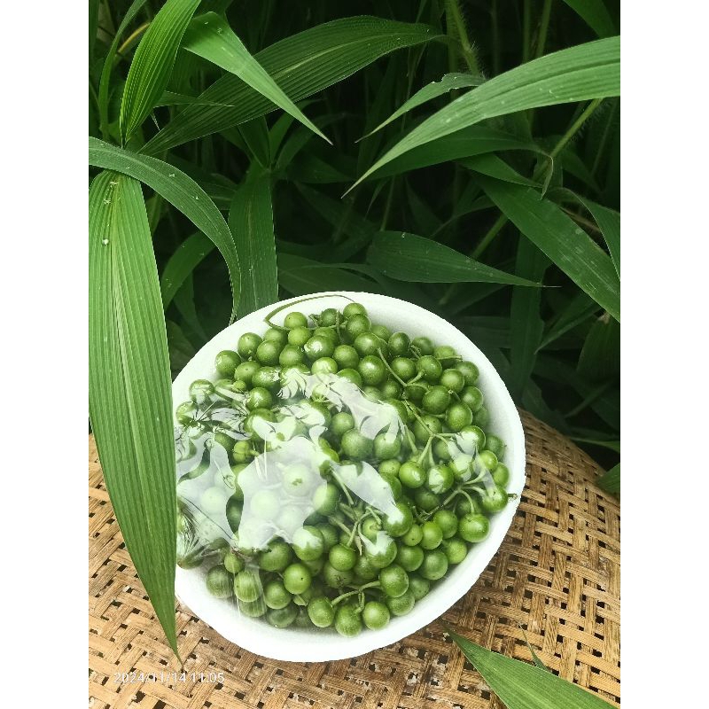 

LEUNCA segar harga ekonomis, kemasan praktis