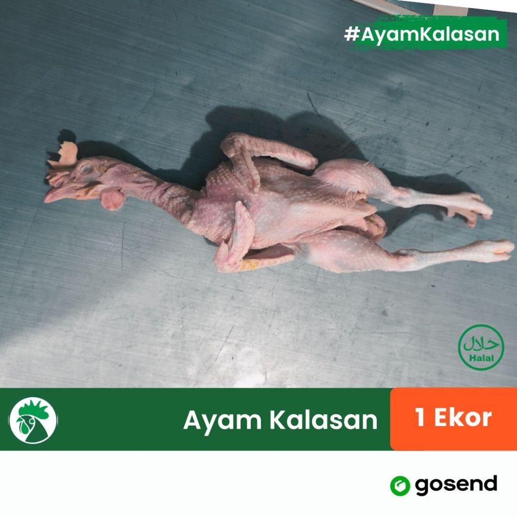 

Ayam Kalasan 1 Ekor Utuh - Ayam Pejantan