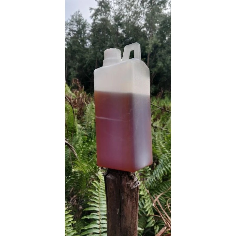 

Madu Lebah Hutan Liar Sialang 500 Gr (Dumadu)