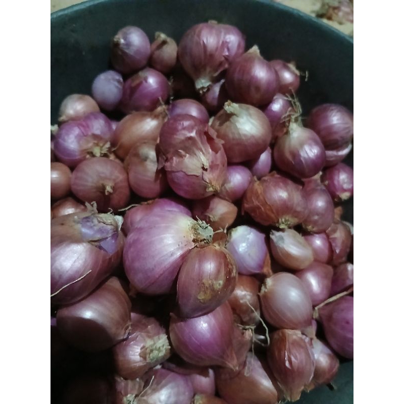 

Bawang Merah