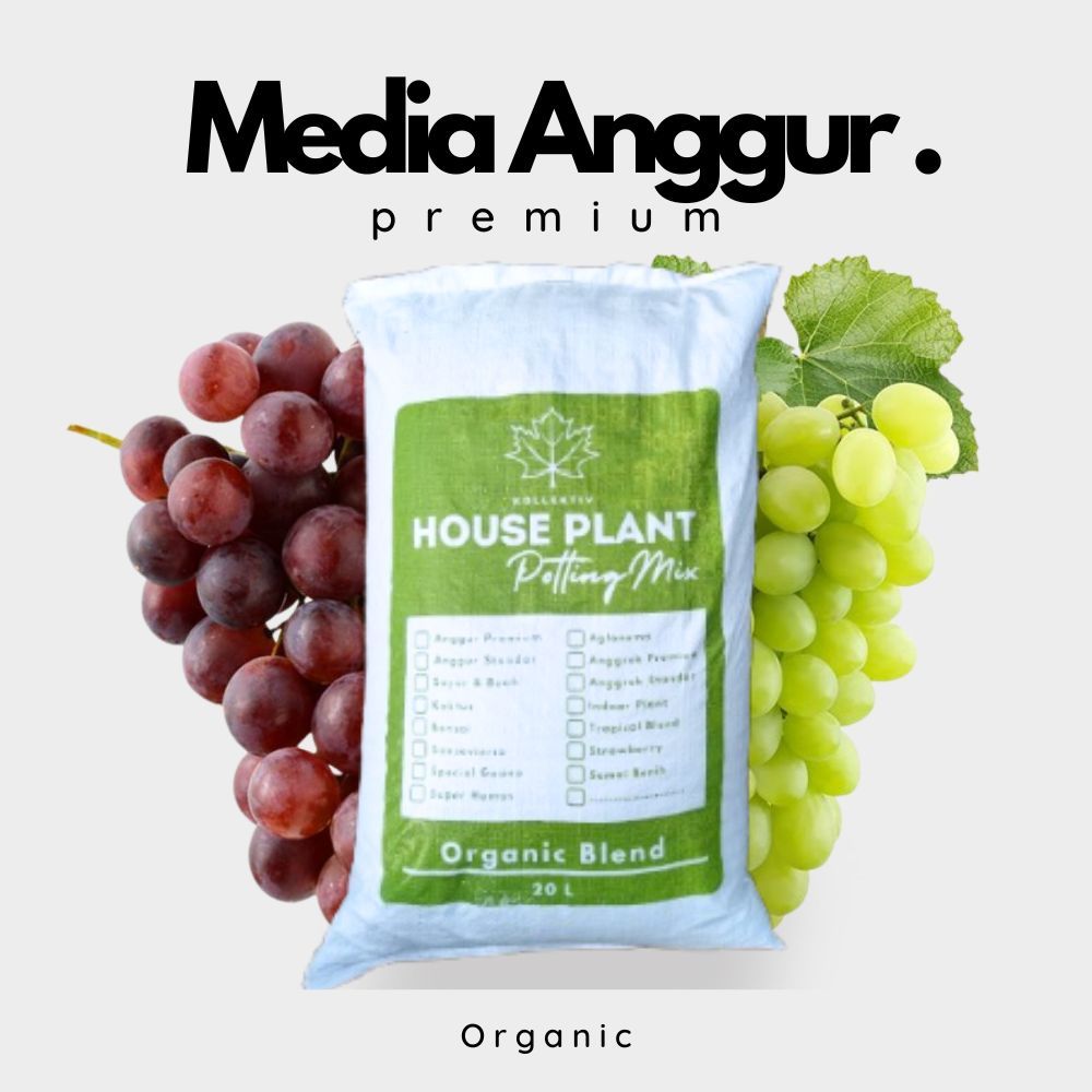 Media Tanam Anggur Karung