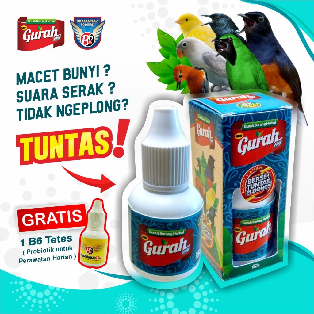GURAH PRO | OBAT GURAH BURUNG PROBIOTIK | OBAT SERAK BURUNG PROBIOTIK | SUPER GACOR