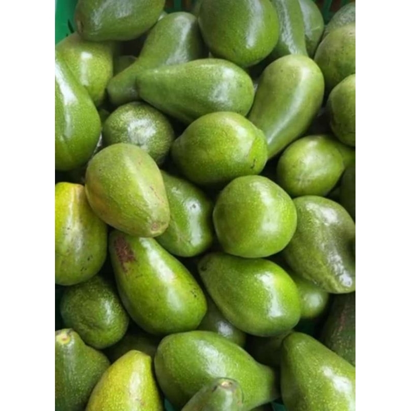

Alpukat manis lembut per kilo
