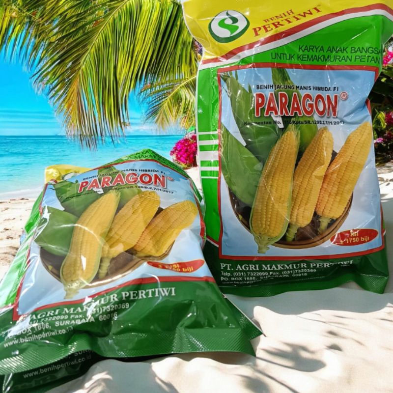 BENIH JAGUNG MANIS PARAGON