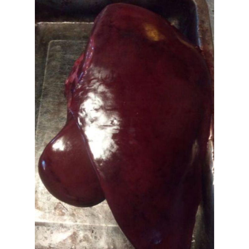 

Hati sapi 250 gr - 500 gr