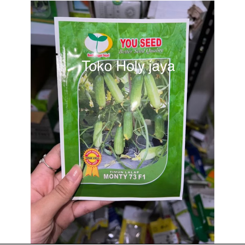 Benih timun lalap MONTY 73 20 gram timun baby dari you seed