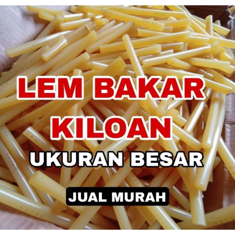 

LEM TEMBAK BAKAR MURAH (KILOAN) UKURAN 11.1 X 30cm