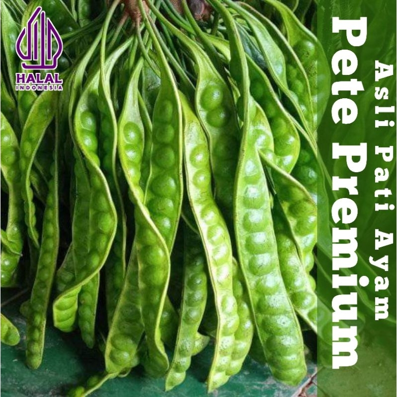 

PETE SISA SORTIR - HARGA LEBIH MURAH