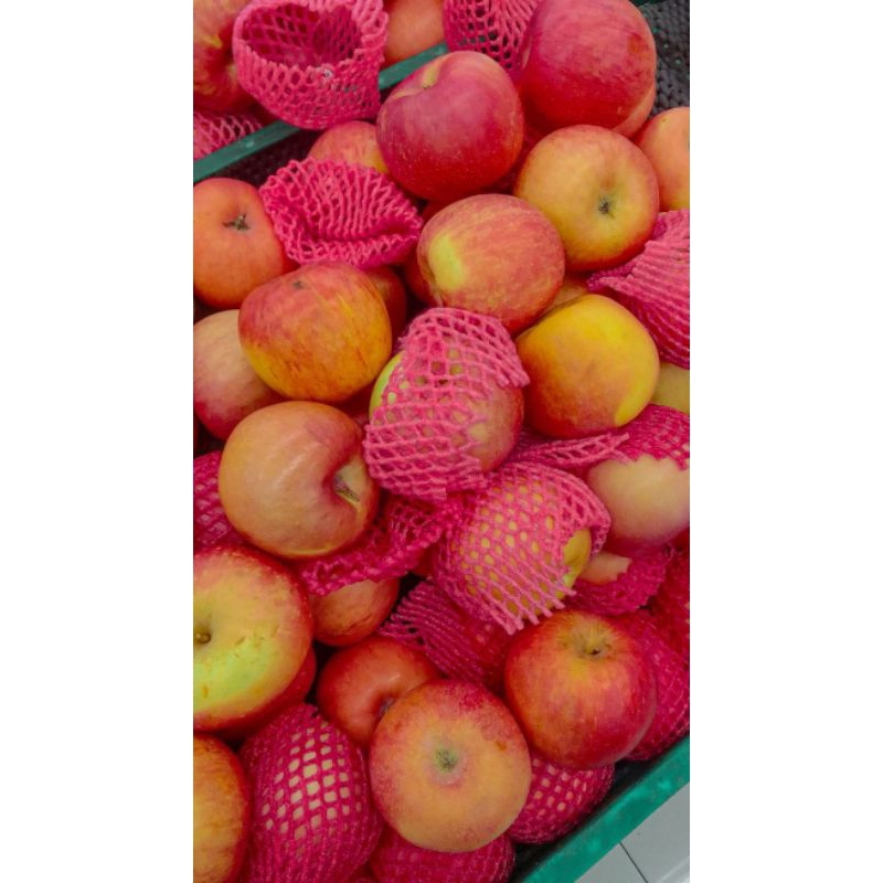 

apel merah fuji