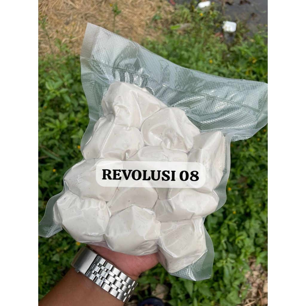 

BASRENG MENTAH 1 KG ISI 13-15 BUTIR