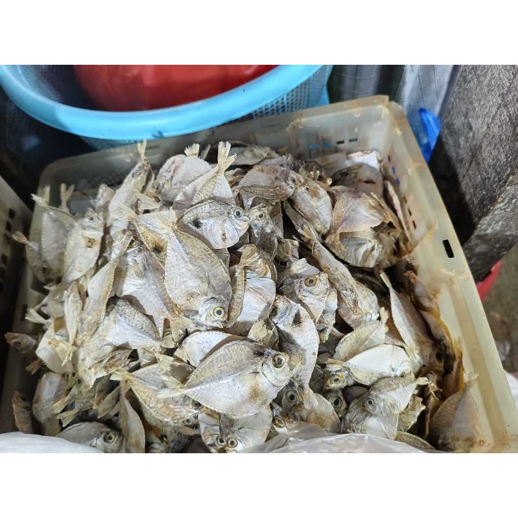 

Ikan Asin / Maco Ampiang 100gr, 250gr, 500gr Asli Bukittinggi