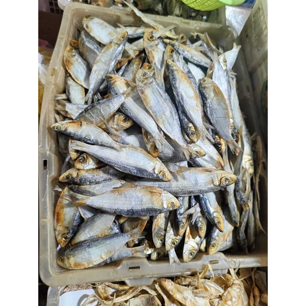 

Ikan Asin / Maco Kukai 1kg Asli Bukittinggi