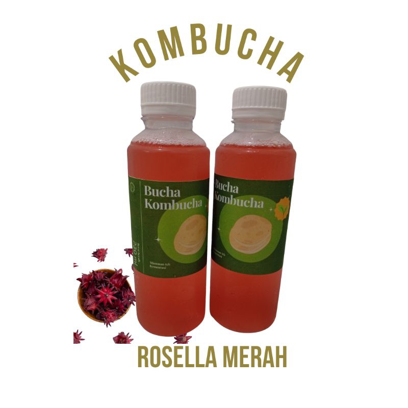 

Kombucha Rosella Merah