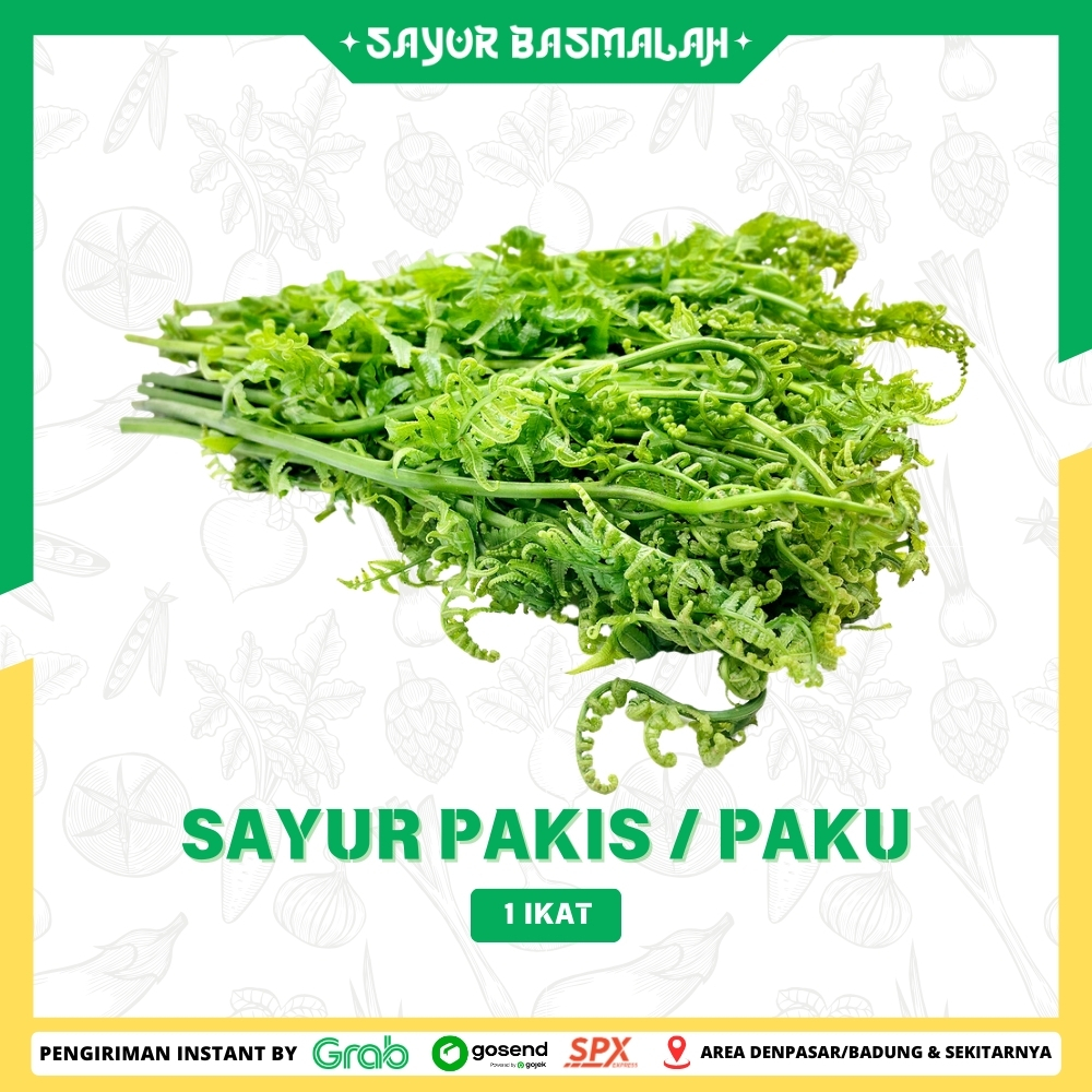 

Sayur Paku / Pakis 1 ikat - Sayur Basmalah