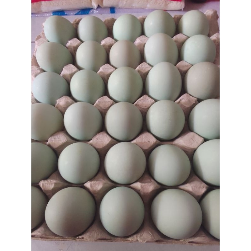 

Telor Asin Enak Gurih Murah Harga Per 10 pcs