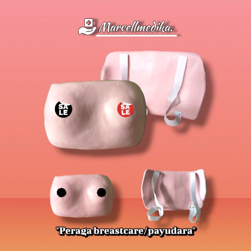 PHANTOM MANEKIN BREASTCARE / MANIKIN PERAGA MODEL PAYUDARA