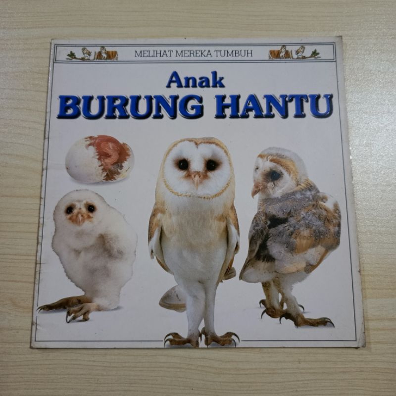 Preloved DK Seri Melihat Mereka Tumbuh: Anak Burung Hantu