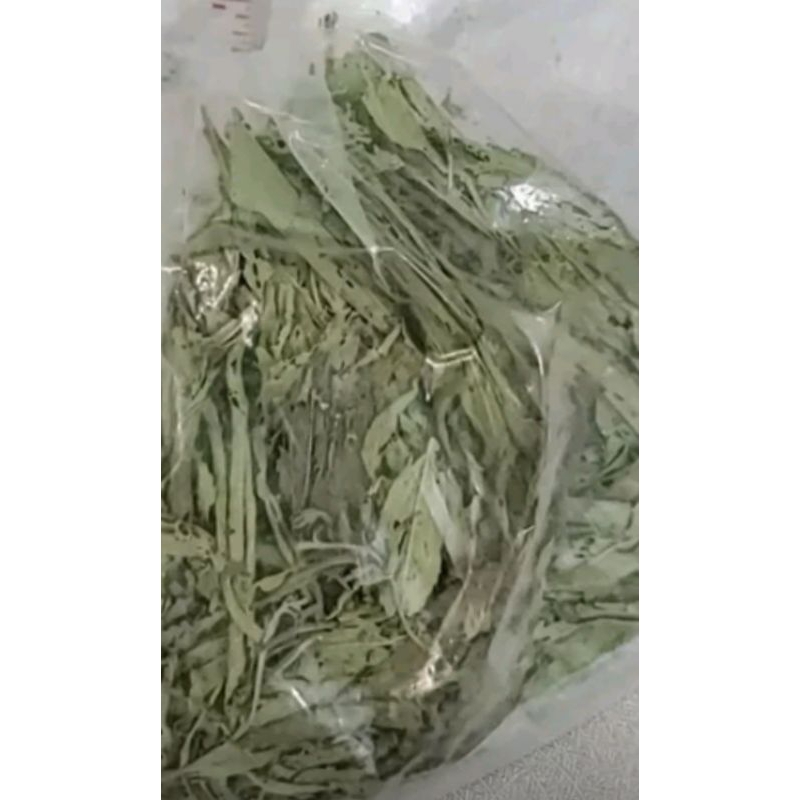 

43 Terjual Daun Stevia 10gram/daun stevia manis kering/Dried stevia Leaf Tea