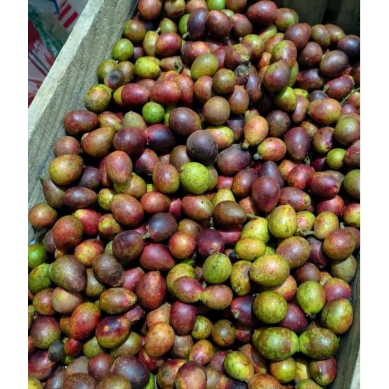 

Buah matoa manis 1kg