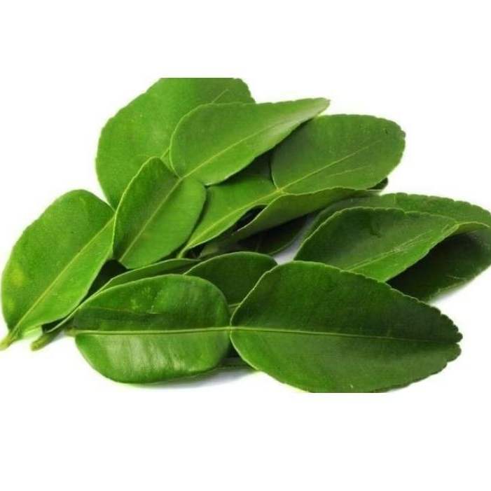 

Daun Jeruk Purut Frees 250Gram