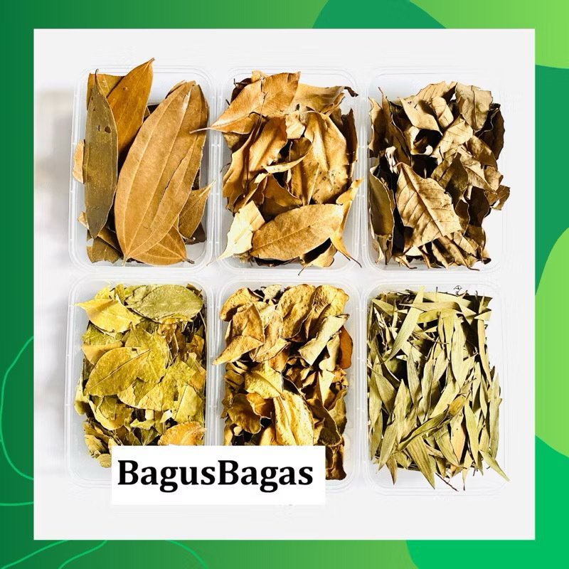 

1kg GROSIR Daun Patikan Kebo Kering Herbal JSR Kualitas Bagus Bagas