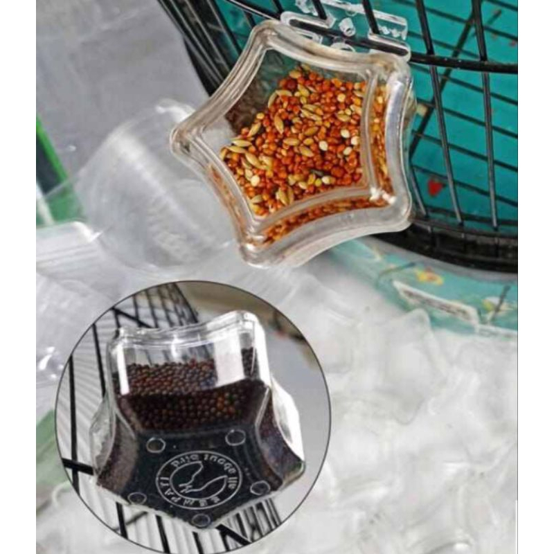 1PCS CEPUK BINTANG Anti Tumpah Wadah Pakan Minum Burung Untuk Burung Lovebird Kenari Murai Kacer Dll