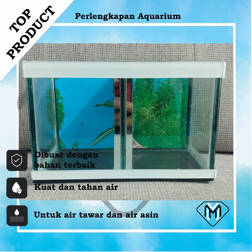 aquarium set lengkap sekat dua  yang cocok untuk hiasan ruang tamu P 20