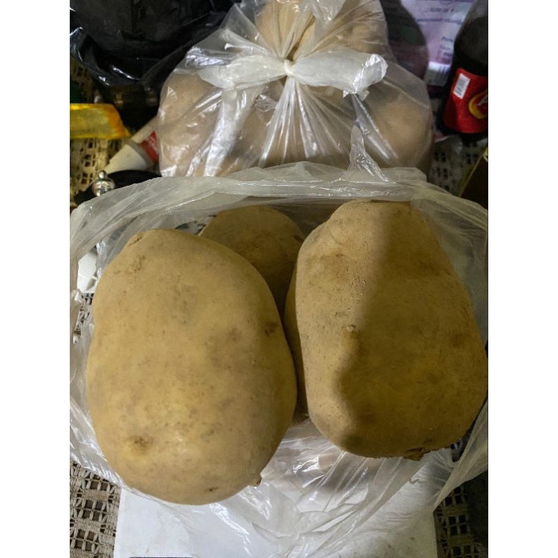 

Kentang Lokal Berkualitas