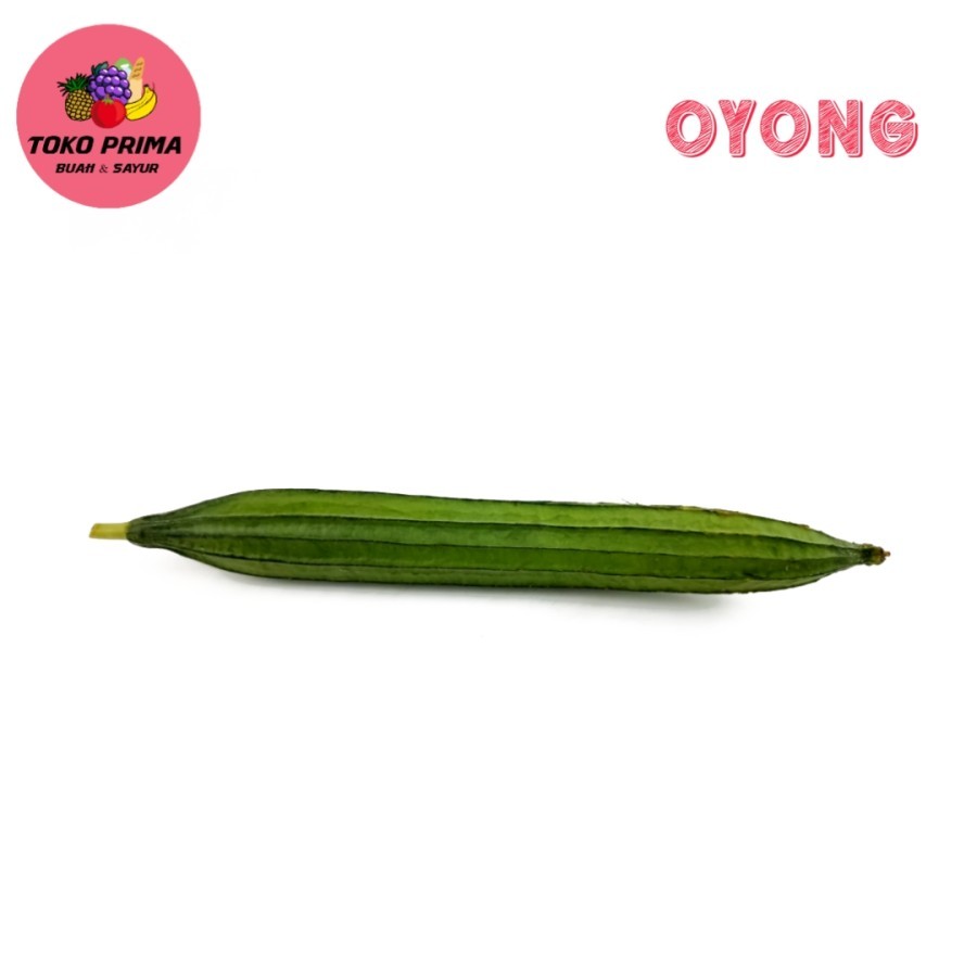 

Sayur Oyong per Pcs