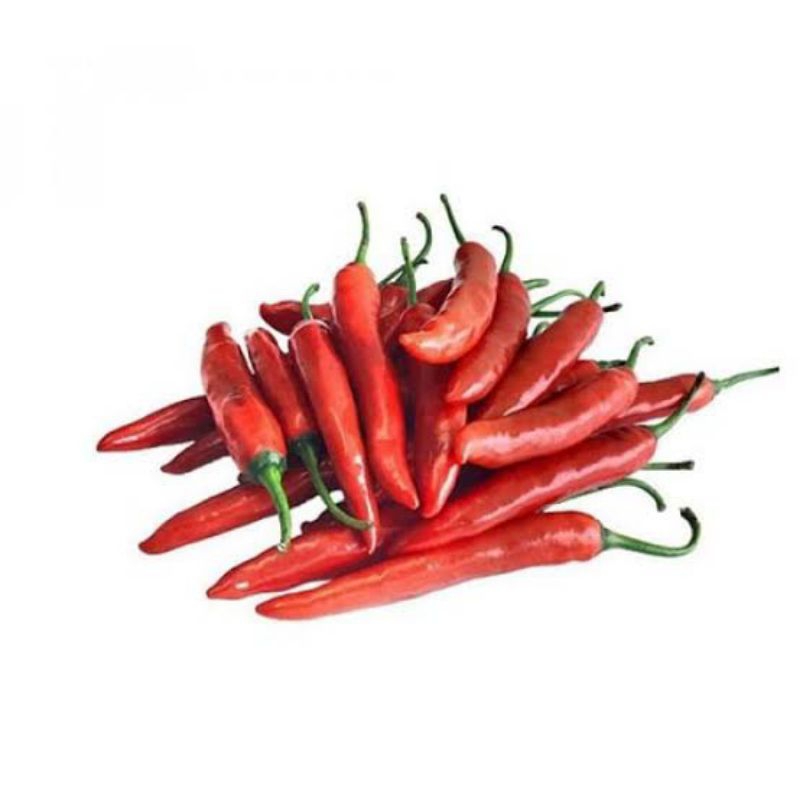 

CABAI / LOMBOK BESAR MERAH KEMASAN 1 KG