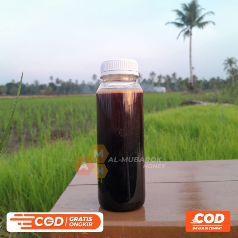 

MADU HUTAN A MURNI ASLI 100% | SANADNYA JELAS | 325gr