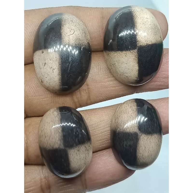 Batu Posil Galih Kelor Motip Tapak Jalak Hitam Putih