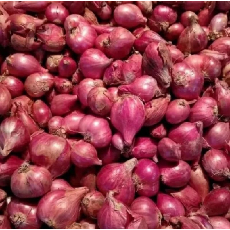 

Bawang merah brebes 250 gr