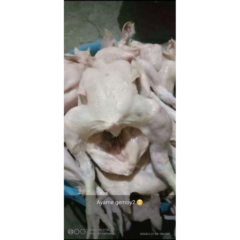 

ayam bakar potong