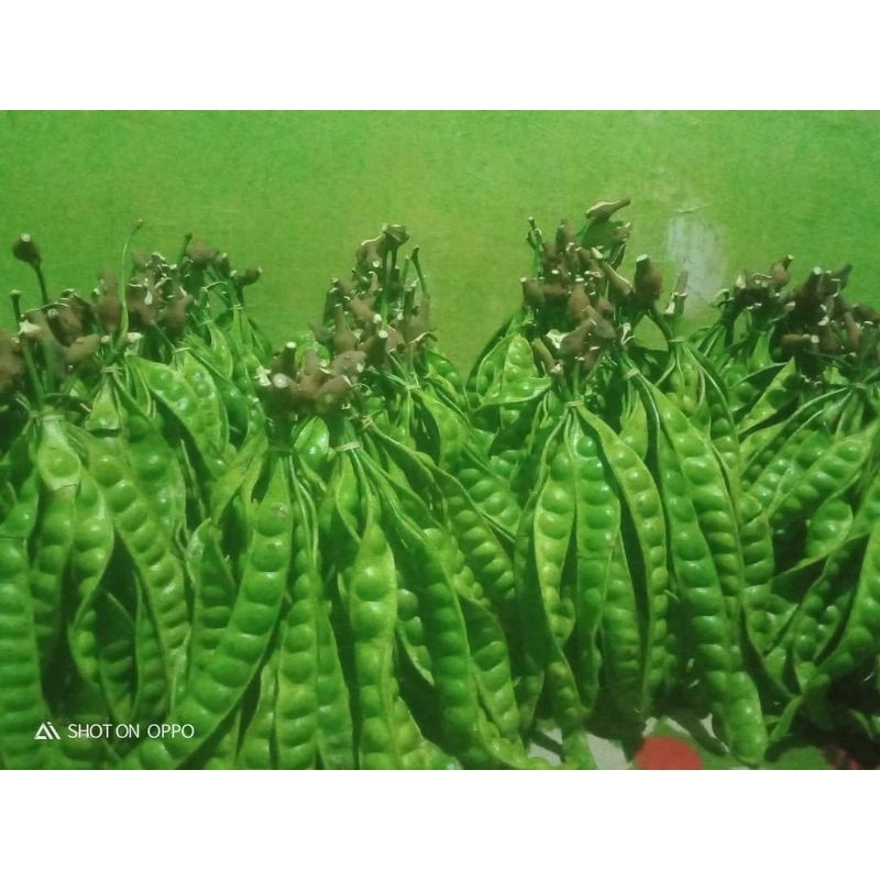 

PETE BROMO SATU PECK ISI 15 PAPAN ATAU 15 LONJOR. PENGIRIM LANGSUNG HARI INI