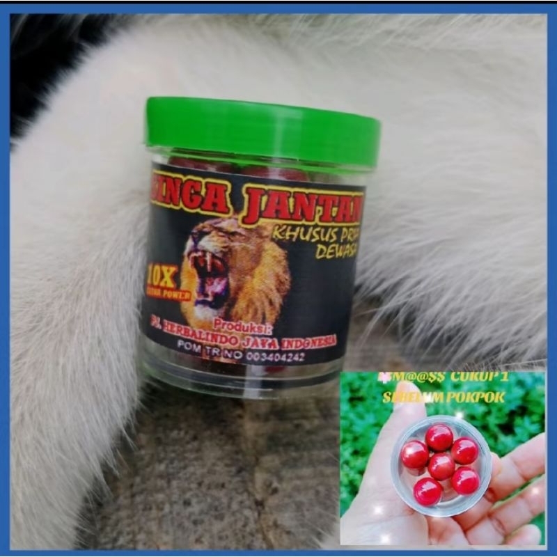 

Madu alami KAPSUL SJ morbey khusus pria madu hutan alami obat pria kuat