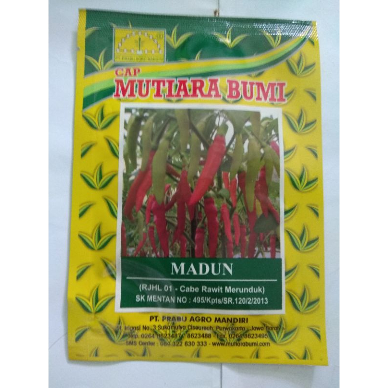 bibit cabai rawit madun
