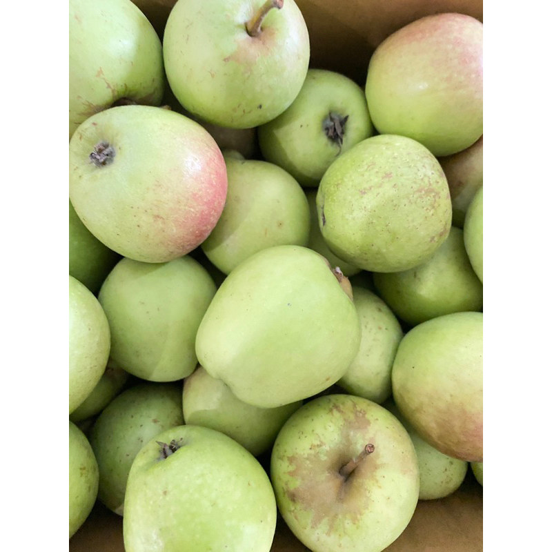 

Lezatoz_Genz Harga ! Apel Malang Manalagi Mini 24 Sampai 26 Biji