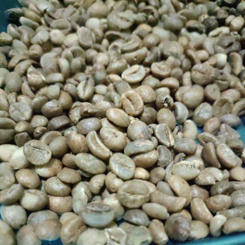 

Kopi menta arabica green bean Brazil Santos full 500 Gram