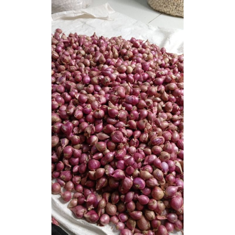 

bawang merah kering ukuran kecil 1 kg