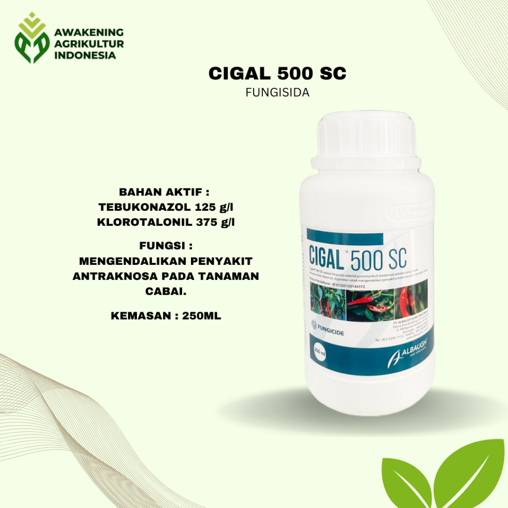 CIGAL 500SC 250ML FUNGISIDA Tebukonazol & Klorotalonil