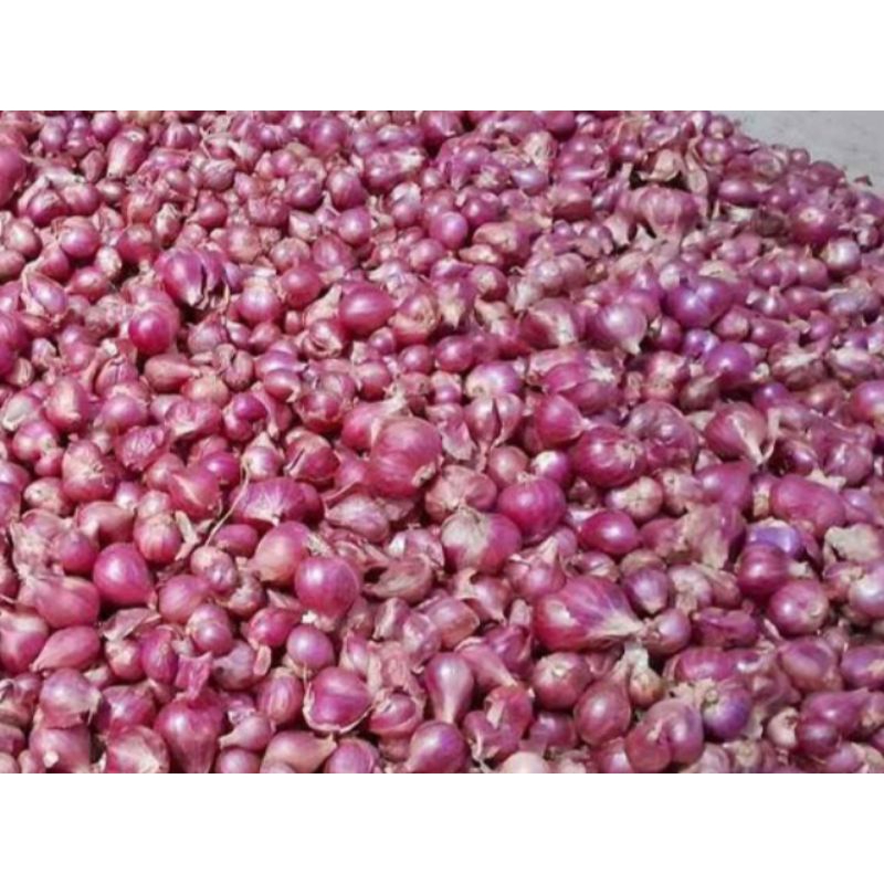 

Bawang merah sedang
