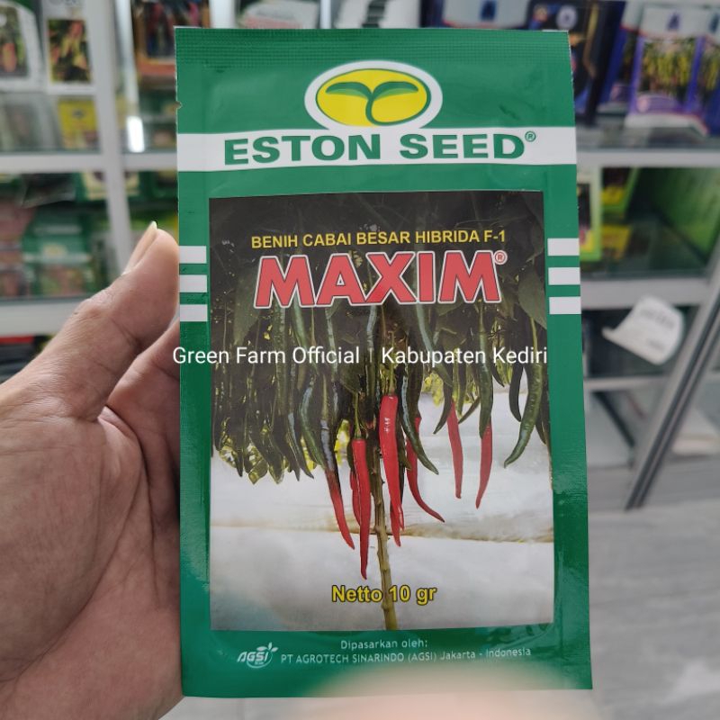 Benih Cabe Besar Maxim F1 10gr Original Pabrik Tahan Virus Gemini Produk Eston Seed (Profit 32 )