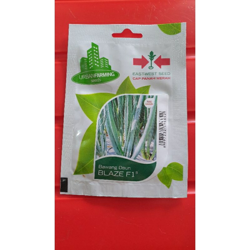 Bawang Daun Blaze F1/Daun Prei/Bawang Daun