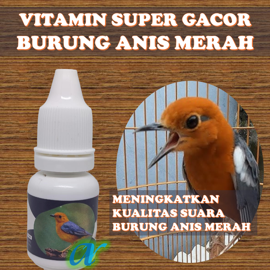 SUPLEMENT VITAMIN GACOR BURUNG ANIS MERAH, Suplemet Burung Anis Merah