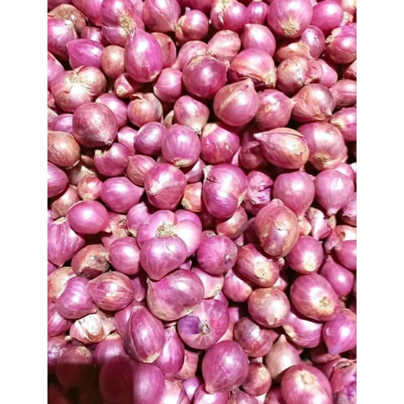 

Bawang Merah Brebes 500 gram / 250 gram / 150 gram