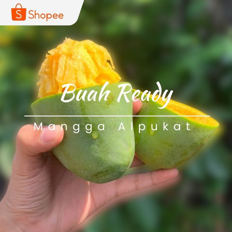 

MANGGA ALPUKAT / KG