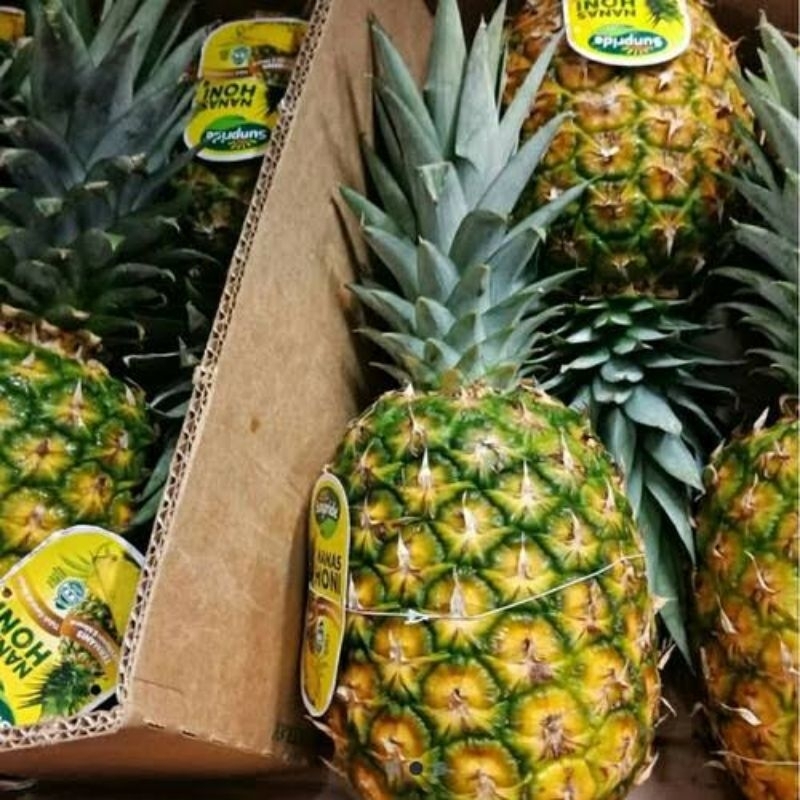 

Nanas sunpride // nanas sunrise